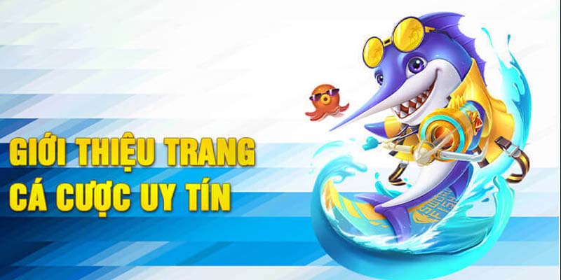 Giới thiệu 58WIN - Nền tảng hàng đầu với những trải nghiệm hấp dẫm